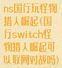 ns国行玩怪物猎人崛起(国行switch怪物猎人崛起可以联网对战吗)