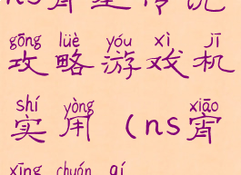 ns宵星传说攻略游戏机实用(ns宵星传奇)