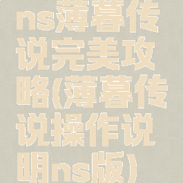 ns薄暮传说完美攻略(薄暮传说操作说明ns版)