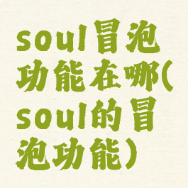 soul冒泡功能在哪(soul的冒泡功能)