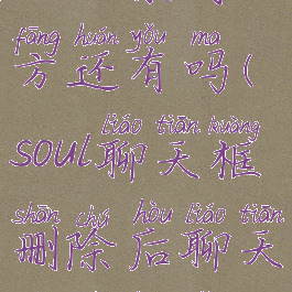 soul删除聊天记录对方还有吗(soul聊天框删除后聊天记录还有吗)