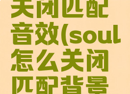soul如何关闭匹配音效(soul怎么关闭匹配背景音乐)
