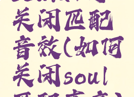 soul如何关闭匹配音效(如何关闭soul匹配声音)