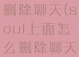 soul如何删除聊天(soul上面怎么删除聊天记录)