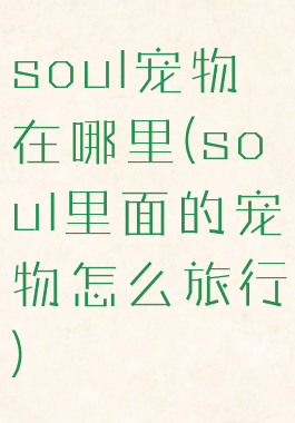 soul宠物在哪里(soul里面的宠物怎么旅行)