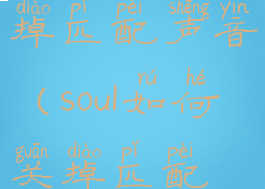 soul怎么关掉匹配声音(soul如何关掉匹配声音)