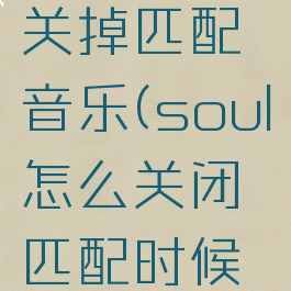 soul怎么关掉匹配音乐(soul怎么关闭匹配时候的音乐)