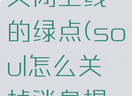 soul怎么关闭上线的绿点(soul怎么关掉消息提示)