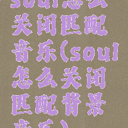 soul怎么关闭匹配音乐(soul怎么关闭匹配背景音乐)