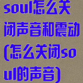 soul怎么关闭声音和震动(怎么关闭soul的声音)