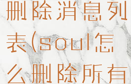 soul怎么删除消息列表(soul怎么删除所有聊天记录)