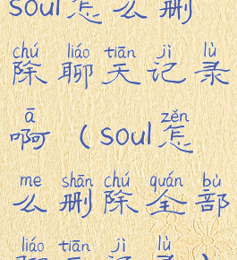 soul怎么删除聊天记录啊(soul怎么删除全部聊天记录)