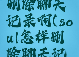 soul怎么删除聊天记录啊(soul怎样删除聊天记录)