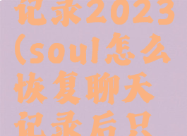 soul怎么恢复聊天记录2023(soul怎么恢复聊天记录后只能看到自己说话)