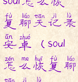 soul怎么恢复聊天记录安卓(soul怎么恢复聊天记录)