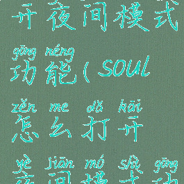 soul怎么打开夜间模式功能(soul怎么打开夜间模式功能啊)