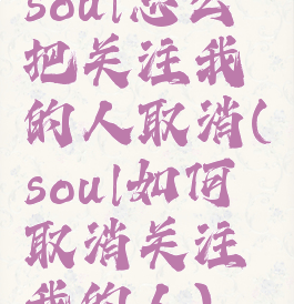 soul怎么把关注我的人取消(soul如何取消关注我的人)