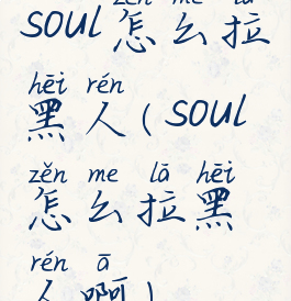 soul怎么拉黑人(soul怎么拉黑人啊)
