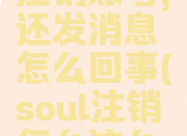 soul怎么注销账号,还发消息怎么回事(soul注销怎么这么慢)