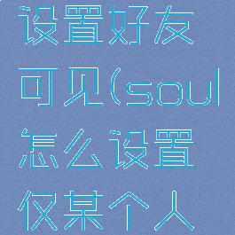 soul怎么设置好友可见(soul怎么设置仅某个人可见)