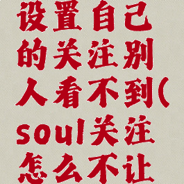 soul怎么设置自己的关注别人看不到(soul关注怎么不让人看见)