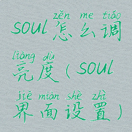 soul怎么调亮度(soul界面设置)