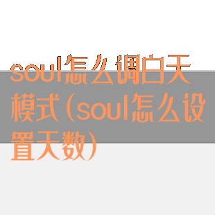 soul怎么调白天模式(soul怎么设置天数)