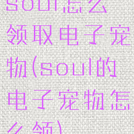 soul怎么领取电子宠物(soul的电子宠物怎么领)