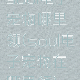 soul电子宠物哪里领(soul电子宠物在哪里领)