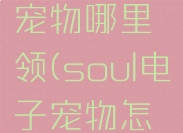 soul电子宠物哪里领(soul电子宠物怎么领)