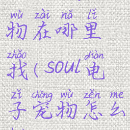 soul电子宠物在哪里找(soul电子宠物怎么获得)