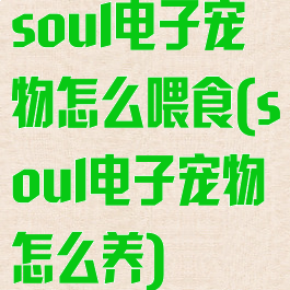 soul电子宠物怎么喂食(soul电子宠物怎么养)