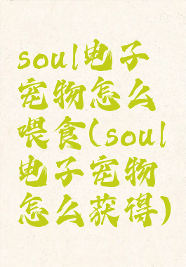 soul电子宠物怎么喂食(soul电子宠物怎么获得)