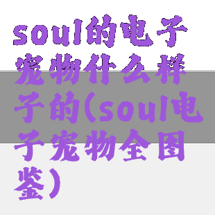 soul的电子宠物什么样子的(soul电子宠物全图鉴)