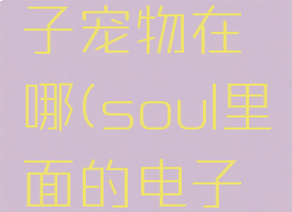 soul的电子宠物在哪(soul里面的电子宠物)