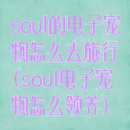soul的电子宠物怎么去旅行(soul电子宠物怎么领养)