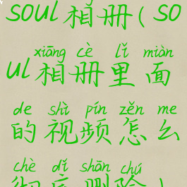 soul相册(soul相册里面的视频怎么彻底删除)