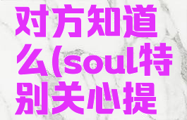 soul设置特别关心对方知道么(soul特别关心提醒什么意思)