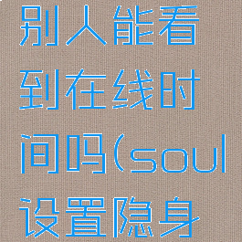soul设置隐身状态,别人能看到在线时间吗(soul设置隐身后会再相遇吗)