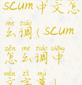 scum中文怎么调(scum怎么调中文字幕)