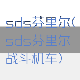 sds芬里尔(sds芬里尔战斗机车)