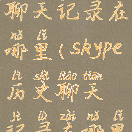 skype历史聊天记录在哪里(skype历史聊天记录在哪里找)