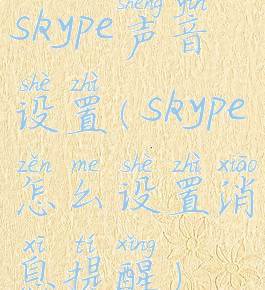 skype声音设置(skype怎么设置消息提醒)
