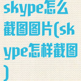 skype怎么截图图片(skype怎样截图)