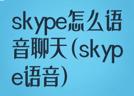 skype怎么语音聊天(skype语音)