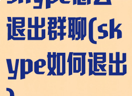 skype怎么退出群聊(skype如何退出)
