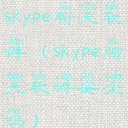 skype聊天软件(skype聊天软件安全吗)