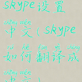 skype设置中文(skype如何翻译成中文)