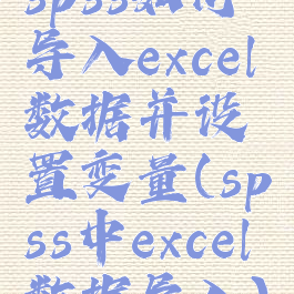 spss如何导入excel数据并设置变量(spss中excel数据导入)