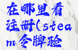 steam令牌验证码在哪里看注册(steam令牌验证码怎么看)